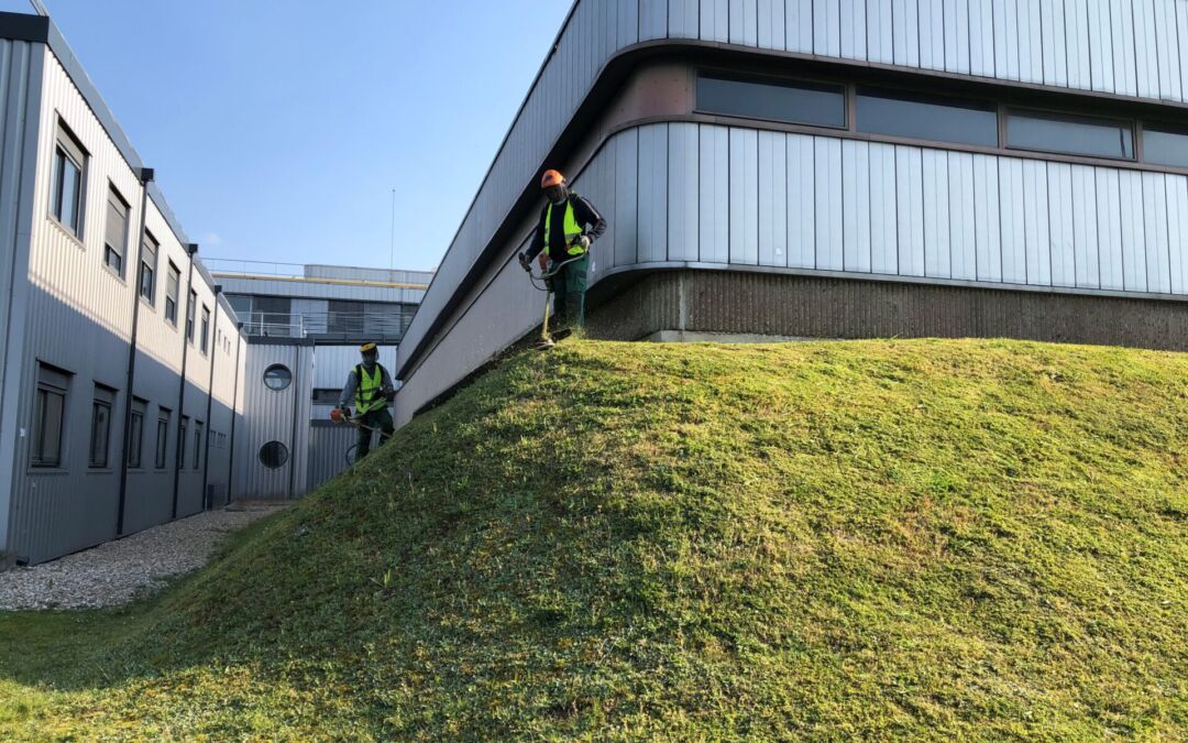 Entretien et création d’espaces verts