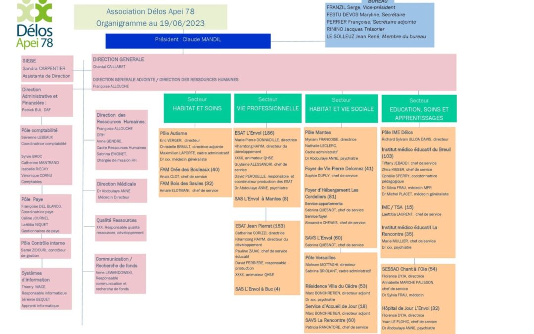 Organisation fonctionnelle