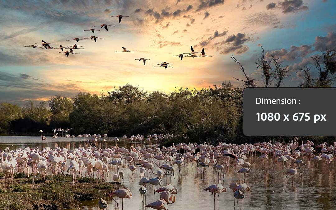 Sed ut perspiciatis unde omnis