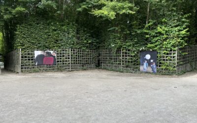 Profitez de l’été pour venir voir l’exposition Rêves en mouvement dans les jardins du château de Versailles