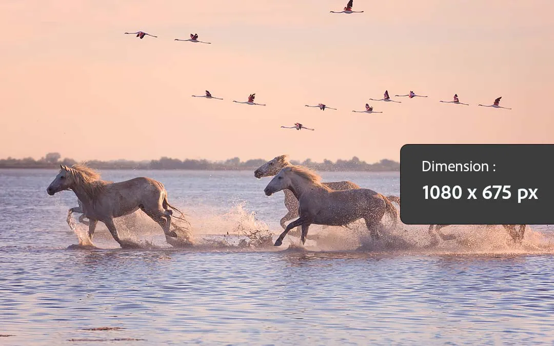 Neque porro quisquam est, qui dolorem ipsum quia dolor sit amet