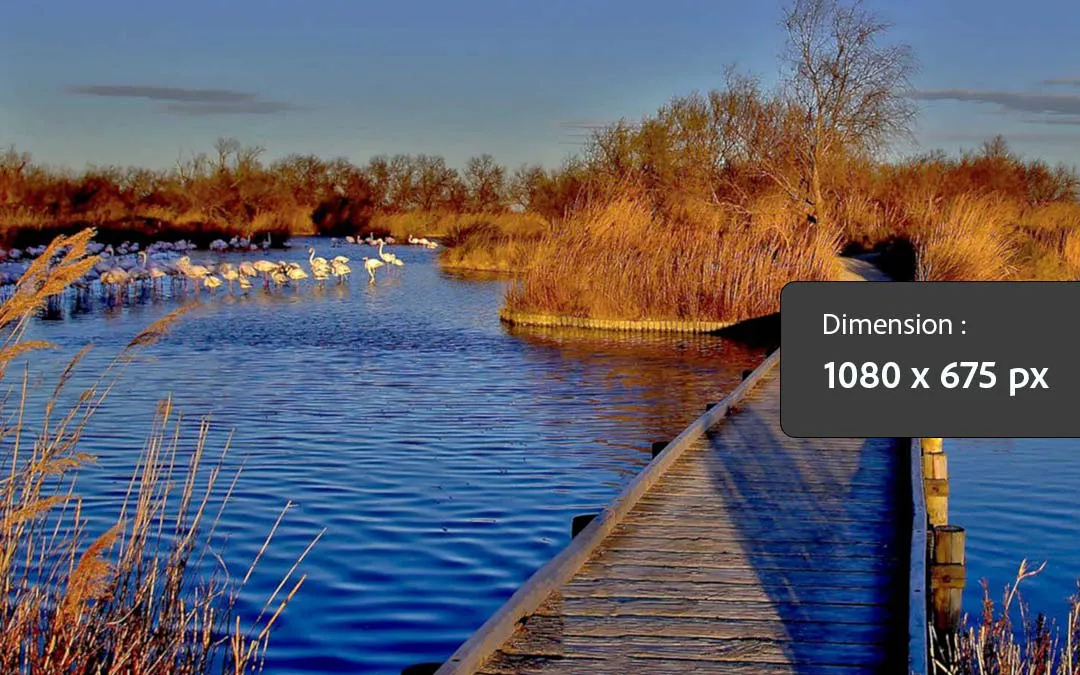 Sed ut perspiciatis unde omnis